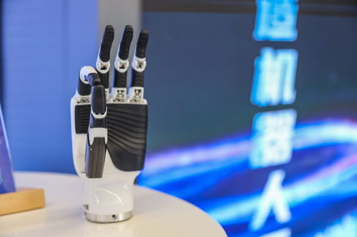 成都机器人大世界亮相春熙路，百余款智能机器人引领未来生活新风尚